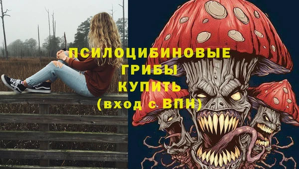 марки lsd Абаза