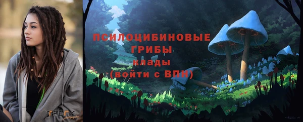 ешки Абинск